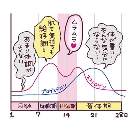 生理前に性欲が高まるってホント？生理後は？ムラムラする性欲。